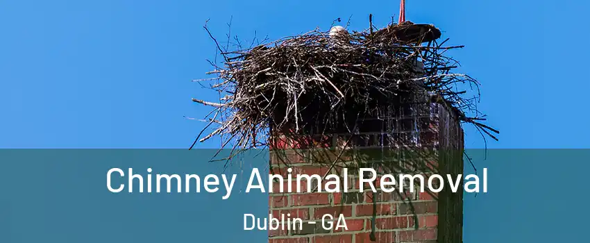  Chimney Animal Removal Dublin - GA