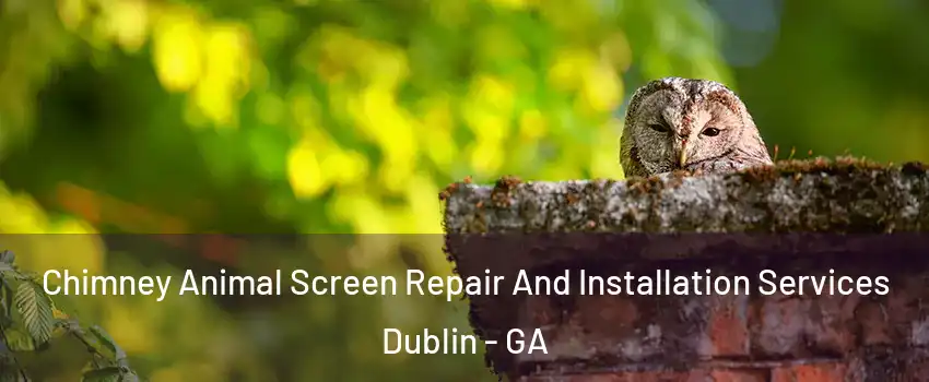  Chimney Animal Screen Repair And Installation Services Dublin - GA