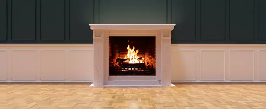 Napoleon Electric Fireplaces Inspection Service in Dublin, Georgia