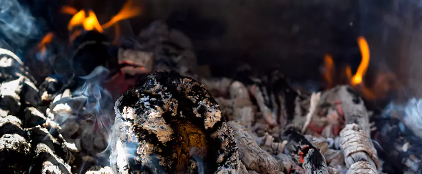 Creosote Removal Experts in Dublin, GA